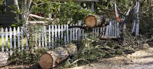Fallen tree branches and debris on a white picket fence after a storm